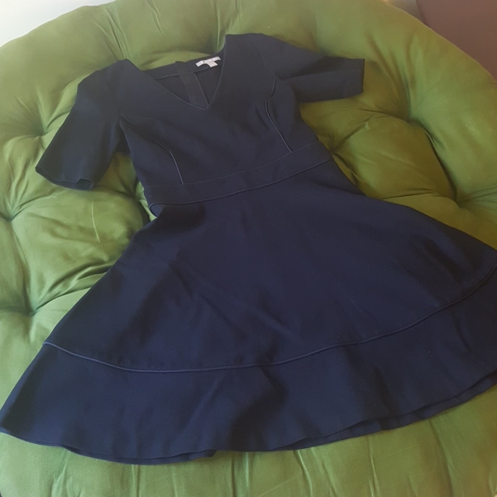 Banana Republic Skater Dress